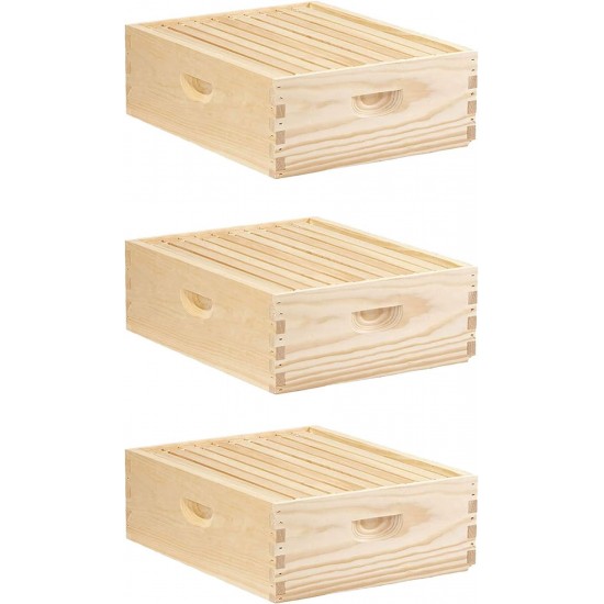 MEDBOX10 10 Frame Medium Honey Super Beehive Brood Body Wooden Keepsake Box, Natural Unfinished Pine with Wax Coated Frames (3 Pack)