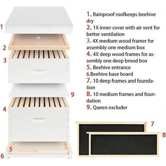 Hives 10 Frame Langstroth Beehive Painted,Complete Unassembled Hive Kit Combo with Wooden Frames and Beeswax Coated Foundations (1 Deep Box 1 Medium Box)