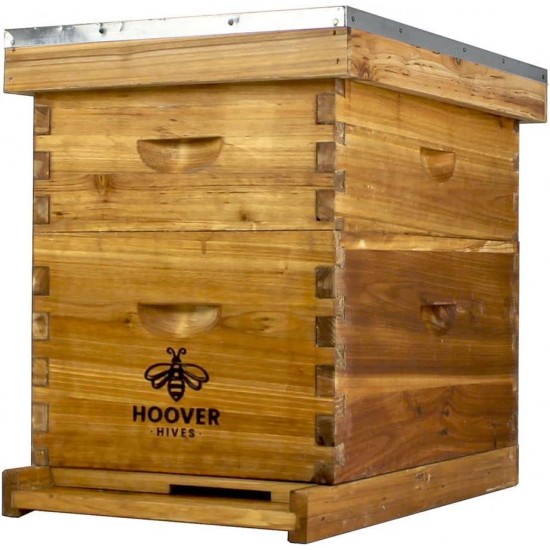 8 Frame Langstroth Beehive Dipped in 100% Beeswax Includes Wooden Frames & Waxed Foundations (1 Deep Box, 1 Medium Box)