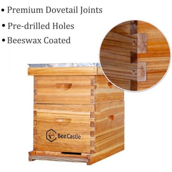 10-Frames Complete Beehive Kit, 100% Beeswax Coated Bee Hive Includes Beehive Frames and Beeswax Coated Foundation Sheet (2 Layer)