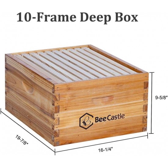 10-Frames Complete Beehive Kit, 100% Beeswax Coated Bee Hive Includes Beehive Frames and Beeswax Coated Foundation Sheet (2 Layer)