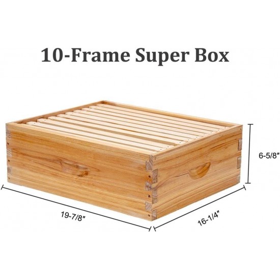 10-Frames Complete Beehive Kit, 100% Beeswax Coated Bee Hive Includes Beehive Frames and Beeswax Coated Foundation Sheet (2 Layer)