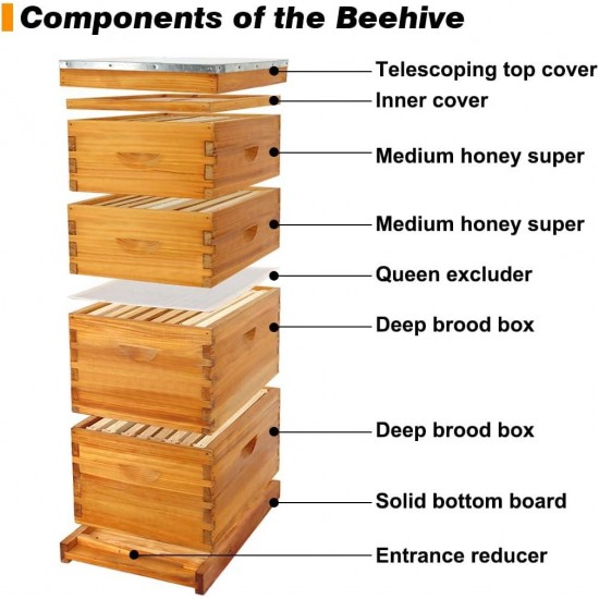 Bee Hive Starter Kit, 8 Frame Bee Hives,Hive Include 2 Deep Bee Box 2 Medium Beehive Box with Bee Frames and Wax Foundation,Unassembled Beehive Starter Kit for Beekeeper