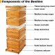 Bee Hive Starter Kit, 8 Frame Bee Hives,Hive Include 2 Deep Bee Box 2 Medium Beehive Box with Bee Frames and Wax Foundation,Unassembled Beehive Starter Kit for Beekeeper