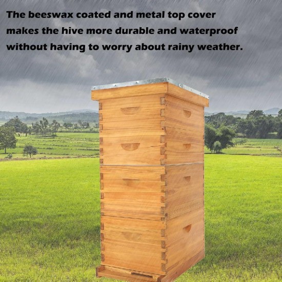 Bee Hive Starter Kit, 8 Frame Bee Hives,Hive Include 2 Deep Bee Box 2 Medium Beehive Box with Bee Frames and Wax Foundation,Unassembled Beehive Starter Kit for Beekeeper