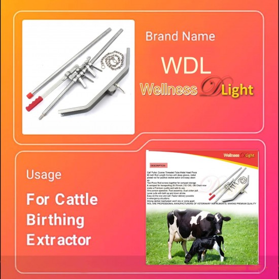 Stainless Steel Calf Puller Calving Durable Ratchet Delivery Cattle Birthing Veterinary Instruments by WDL, Silver, 65 inches