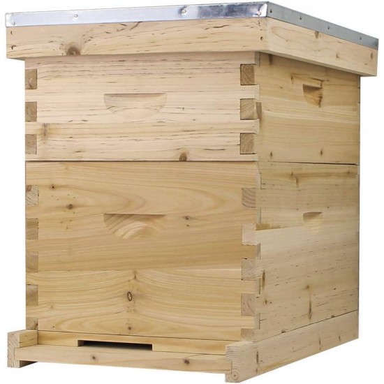 Starter Bee Hive with Frames & Wax Coated Foundations (NU8-1D1M)