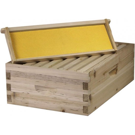 Starter Bee Hive with Frames & Wax Coated Foundations (NU8-1D1M)