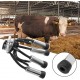 Milking Cluster, 240CC Stainless Steel Rubber Milking Cluster Milk Cup Milking Teat Cups Milking Claw Milking Machine Supplies Remplacement