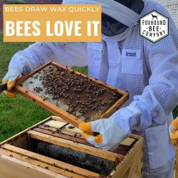 Made in USA - Fully Assembled Deep Beekeeping Frames with Double Wax Beeswax Coated Plastic Foundation - 20 Pack