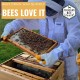 Made in USA - Fully Assembled Deep Beekeeping Frames with Double Wax Beeswax Coated Plastic Foundation - 20 Pack