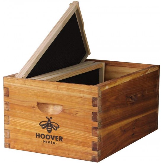 8 Frame Langstroth Beehive Dipped in 100% Beeswax Starter Kit (1 Deep Box & Accessories)