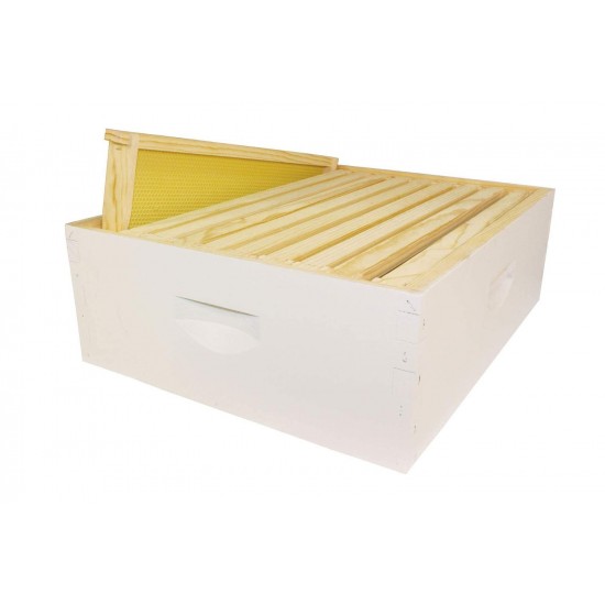 Beehive kit, Completely Assembled Kit, Painted, with Frames and Foundation, Ready to Use,10 Frame Kit, 2 Deep Bee Boxes, 2 Medium Supers, Made in The USA