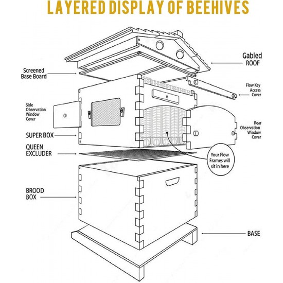 Wooden Beehive House Kit Automatic Beehives Boxes Starter Kit for Beekeepers