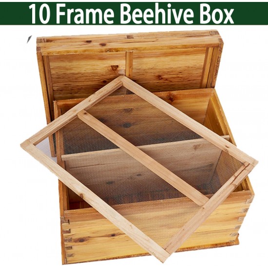 Beehive with Ventilated bee Jacket (XXL)