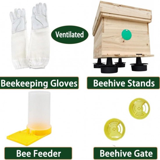 10 Frame BeeHives with Supplies Starter Kit, Bee Keeping Supplies-All Beginners Kit, Bee Hive Tool Set, Ventilated Bee Jacket (XXL)