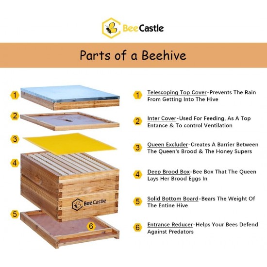 8-Frame Bee Hives and Supplies Starter Kit,Beehive Kit Dipped in 100% Beeswax,Bee Keeping Supplies-All Beginners Kit Includes Beekeeping Supplies Tool Set and Bee Suit.