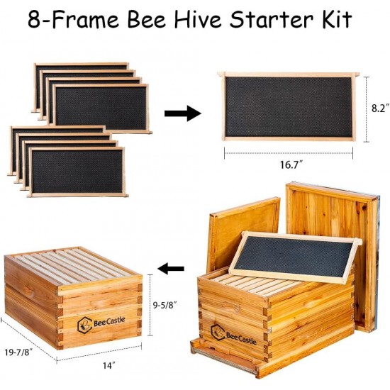 8-Frame Bee Hives and Supplies Starter Kit,Beehive Kit Dipped in 100% Beeswax,Bee Keeping Supplies-All Beginners Kit Includes Beekeeping Supplies Tool Set and Bee Suit.