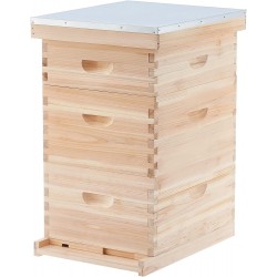 Bee Hive Boxes Starter Kit, 3 Layer Bee House with 10 Medium and 20 Deep Frames & Foundations, Langstroth Beehive for Bee Keeping, Beekeeping Supplies with Plastic Queen Excluder and Nails