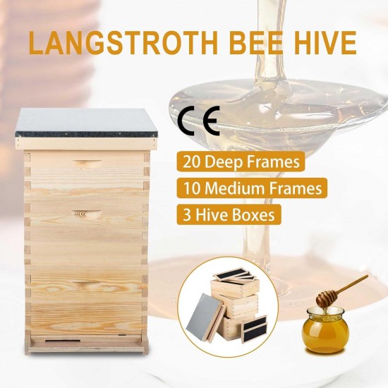 Bee Hive Boxes Starter Kit, 3 Layer Bee House with 10 Medium and 20 Deep Frames & Foundations, Langstroth Beehive for Bee Keeping, Beekeeping Supplies with Plastic Queen Excluder and Nails