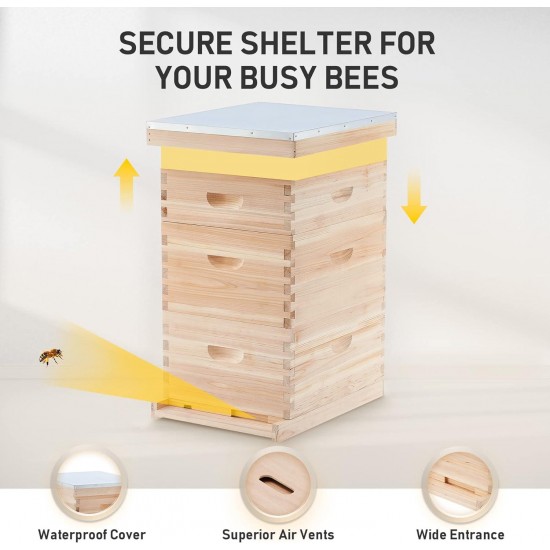 Bee Hive Boxes Starter Kit, 3 Layer Bee House with 10 Medium and 20 Deep Frames & Foundations, Langstroth Beehive for Bee Keeping, Beekeeping Supplies with Plastic Queen Excluder and Nails