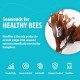 Bee Food Supplement - Natural Honey Bee Liquid Feed Enhancer - Organic Beekeeping Autumn Spring Feeding - Lower Winter Mortality, Improve Colony Health, Honey Production (2L, 200 Hives)