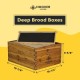 10 Frame Langstroth Beehive Dipped in 100% Beeswax Includes Wooden Frames & Waxed Foundations (2 Deep Boxes, 1 Medium Box)