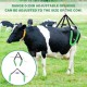 Cow Hip Lift Cow Hip clamp, 2204LBS Adjustable Farm Cow Hip Clamp for Milking Birthing Lame, Cow Stand Support Stand Up Assist Device for Dystocia Severe Typhoid Fever Fallen Postpartum Aid