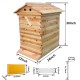 Flows Hives Beehive with 7 Frame Bee Box Auto Wooden Honey Bee Hives Boxes Complete Kit Bee Keeping Starter Kit