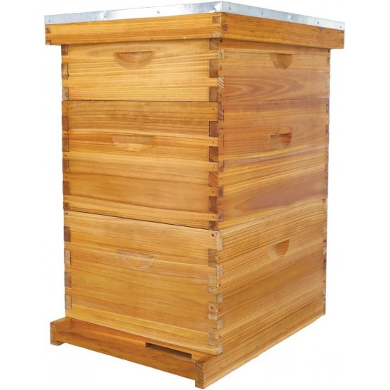 10 Frame Bee Hive, Beeswax Coated Beehive Include 2 Deep Bee Boxes and 1 Medium Bee Box with Beehive Frames and Foundation.