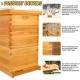 10 Frame Bee Hive, Beeswax Coated Beehive Include 2 Deep Bee Boxes and 1 Medium Bee Box with Beehive Frames and Foundation.