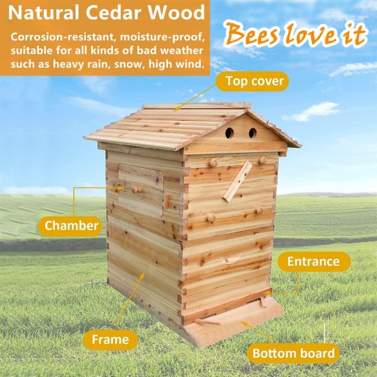 Auto Flows Beehive Food Grade Beekeeping Cedar Wooden House with 7 Automatic Flows Honey Storage Panel for Beekeeper Starter