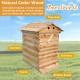 Auto Flows Beehive Food Grade Beekeeping Cedar Wooden House with 7 Automatic Flows Honey Storage Panel for Beekeeper Starter