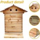 Automatic Hive Beehive Kits, Wooden Flows Bee Hive House kit, Beehive Starter Kit Beehive Boxes with 7 Peices Comb Honey Frames for Beginning and Professional Beekeepers