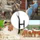 Steel Livestock Stand Trimming, Livestock Stand Nose Loop Goat Trimming Stand 9.8inch Height Adjust, Trimming Stand 5.9inch Length Adjust, Goats Stand & Sheep Stand, Black, 31.9 x 13.4 x 4.3inch