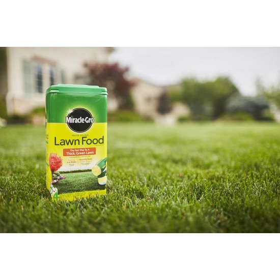 1001833 Lawn Food Water Soluble Lawn Fertilizer (6 Pack), 5 lb