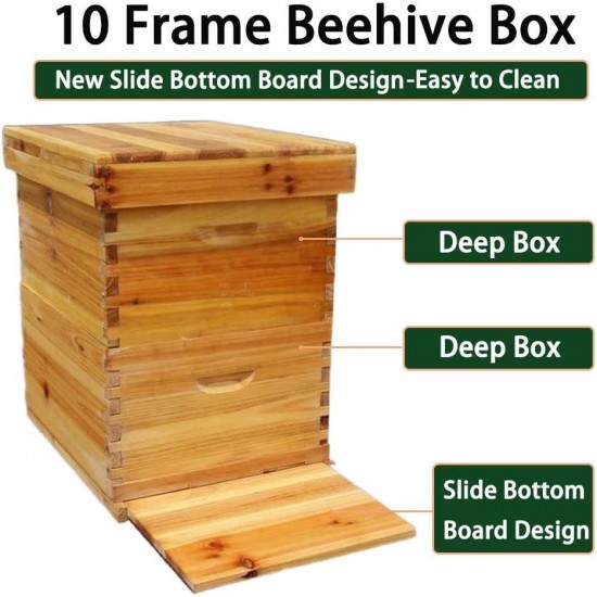 2 Layers Beehive with Ventilated bee Suit (XXL)