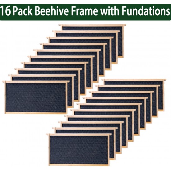 10 Frame BeeHives with Supplies Starter Kit, Bee Keeping Supplies-All Beginners Kit, Bee Hive Tool Set, Ventilated Bee Jacket (XXL)