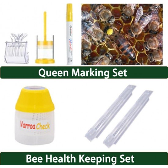 10 Frame BeeHives with Supplies Starter Kit, Bee Keeping Supplies-All Beginners Kit, Bee Hive Tool Set, Ventilated Bee Jacket (XXL)