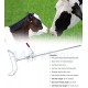 CALF PULLER VETERINARY INSTRUMENTS A+ QUALITY