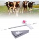 Insemination Kit for Cows Cattle Visual Insemination Gun Adjustable Screen,Professional Visual Insemination Gun Instrument Veterinary Insemination Farm Tools Perfect for Pig, Cow