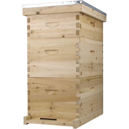 Bee Hive Complete with Frames & Wax Coated Foundations (NU8-2D1M)