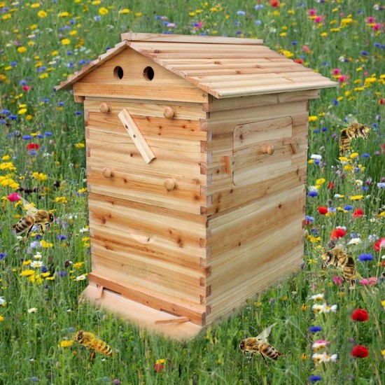 Flows Beehive Wooden Bee Hives Boxes Automatic Bee Hives House with 7 Pieces Honey Bee Frames Bee Keeping Supplies Starter Kit