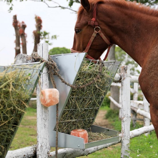 Solution4Patio Galvanized Steel Livestock Hanging 2 in 1 Hay & Grain Feeder, Heavy-Duty Large Capacity Feeder W/Adjustable Hooks for Different Stall, Corral, Hay Feeder for Goats, Sheep, Horse