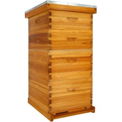 10 Frame Bee Hive Dipped in 100% Beeswax, Langstroth Complete Beehives Starter Kit Includes 2 Deep Brood Box and 2 Medium Super Box with Beehive Frames and Waxed Foundation Sheet