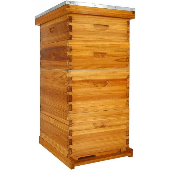 10 Frame Bee Hive Dipped in 100% Beeswax, Langstroth Complete Beehives Starter Kit Includes 2 Deep Brood Box and 2 Medium Super Box with Beehive Frames and Waxed Foundation Sheet