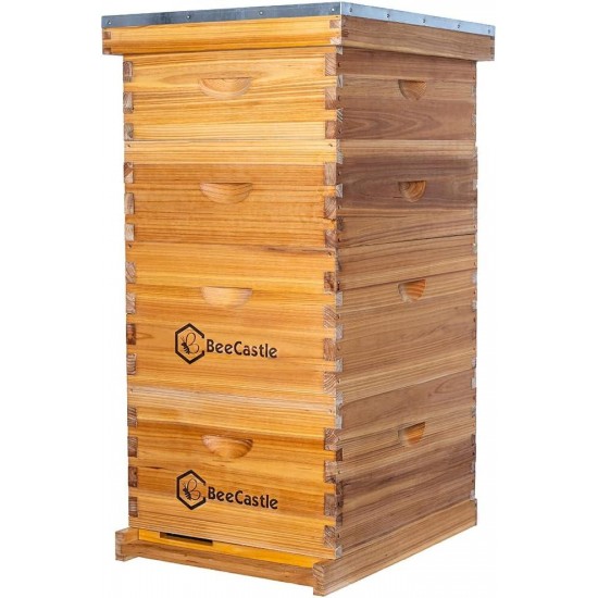 10 Frame Langstroth Bee Hive Coated with 100% Beeswax Includes Beehive Frames and Waxed Foundations (2 Deep Boxes & 2 Medium Boxes)