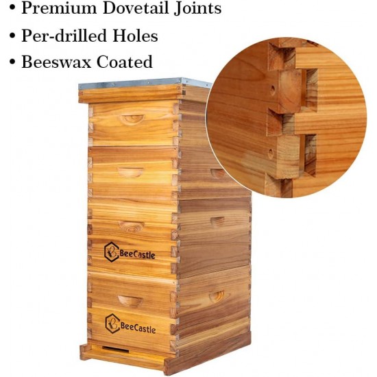 8 Frame Langstroth Bee Hive Coated with 100% Beeswax Includes Beehive Frames and Waxed Foundations (2 Deep Boxes & 2 Medium Boxes)