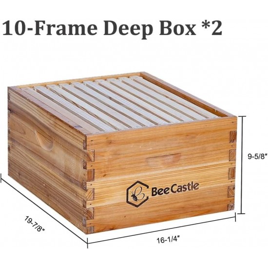 10 Frame Langstroth Bee Hive Coated with 100% Beeswax Includes Beehive Frames and Waxed Foundations (2 Deep Boxes & 2 Medium Boxes)