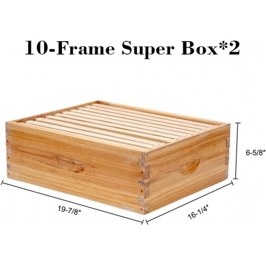 10 Frame Langstroth Bee Hive Coated with 100% Beeswax Includes Beehive Frames and Waxed Foundations (2 Deep Boxes & 2 Medium Boxes)